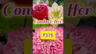 Combo Offer || Deal of The Day (18/05/2025),  #offerprice #forsale #lotus #combooffer