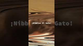 ¡NIBBLES EL GATO!
