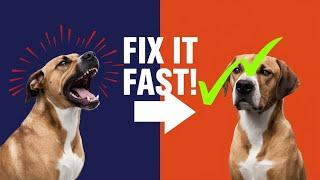 7 Effective Ways to Stop Your Dog's Excessive Barking @dog-vision