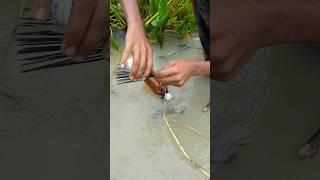 Fish Funny Content Funny Videos Of Stealing Incredible Fish#funny#shorts#fish