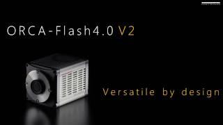 ORCA-Flash4.0 V2 - Lightsheet Readout Mode (Patented)