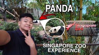 SINGAPORE ZOO EXPERIENCE | PT 1