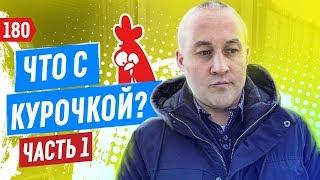 Закрытие и возвращение “Курочки”. Фудтрак