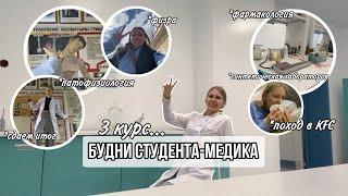 Влог: будни студента-медика // цикл патофизиологии и фармакологии // моя учеба на 3 курсе меда...