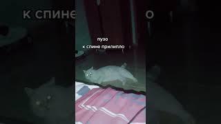 Дадим снежку Оскар?