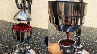 Pomegranate Juice Machine ASMR Sounds || WooGlobe