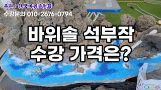 모두가 궁굼해하는 석부작수강 가격공개 바위솔석부작방법 생명토배합방법 과 수강신청