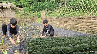 Orphan Boy 2: Growing Vegetables to Serve His Daily Life