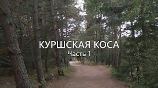 КУРШСКАЯ КОСА: Невероятный ОТДЫХ в РОССИИ. Часть 1.