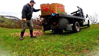 OUR POTATO PROBLEM