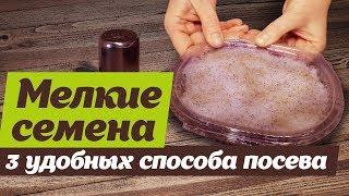 Как посеять мелкие семена  Удобные и простые способы посева