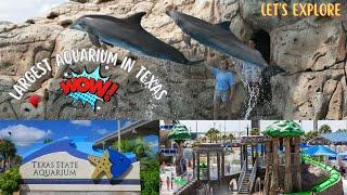 Let's explore the Largest Aquarium in Texas | Texas State Aquarium, Corpus Christi TX