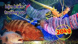 Đi Lặn Biển Trường Sa: 330 Hải Lý 48H : Săn Toàn Cá Mú & Tôm Hùm Khổng Lồ