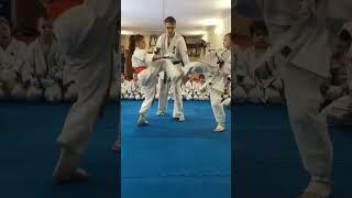 kyokushin karate sparring session #kyokushin #kyokushinway #shorts