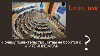 Почему правительство Литовской Республики не борется с «Литвинизмом»? Сегодня в эфире Литвины Live.