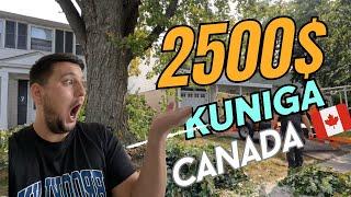 Canada  davlatida yurgan O’zbek akalar bir kunda qancha pul topishadi? #canada #amerika #uzbek