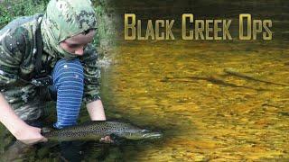 #BLACKCREEKOPS *** CUNNING BROWN TROUT *** Fly Fishing New Zealand