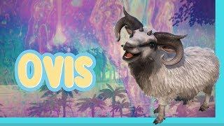 Ark | How to spawn a Sheep (Ovis) w/ Console Commands Ark Survival Evolved