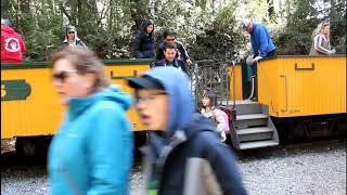 Roaring Camp Railroads