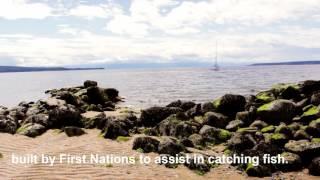 Toonie Tours: The Seawalk