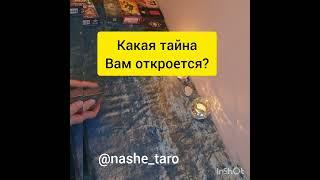 Какую тайну вам хотят открыть высшие силы ?