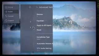 How to Change the DTV Audio Setting in LG 43QNED80