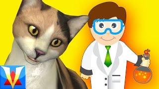 Gmod SCIENTIST Mod