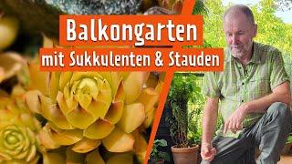 Raritäten aus aller Welt: Ein Balkon mit Stauden und Sukkulenten | MDR Garten