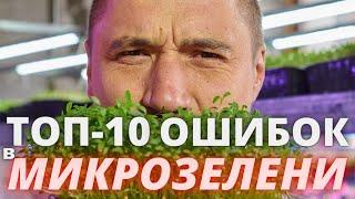 Микрозелень  Как не надо делать ! ТОП 10  главных ошибок от Зеленого Шефа папы Микрозелени СНГ