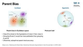 [CVPR 2024] Flattening the Parent Bias: Hierarchical Semantic Segmentation in the Poincaré Ball