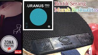 Bintik Serang Pendek Murah Berkualitas “Yinhe Uranus Pro” Rekomendasi Zona Pingpong