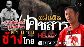 แผ่นดินคชสาร ตำนานช้างไทย อ.เฮง ไพรวัลย์ ผู้เขียนตำราจับช้าง Hello ประวัติศาสตร์ EP.8