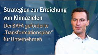 Strategie zur Erreichung von Klimazielen: Der BAFA-geförderte Transformationsplan für Unternehmen