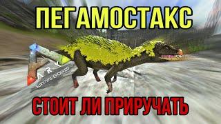 Пегамостакс ARK MOBILE | Стоит ли приручать? | Пегамостакс Арк Мобайл | Арк Мобайл