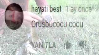 Hayati Best