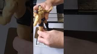 #wweactionfigure | WWE ACTION FIGURES | The Rock Bottom | Big Wrestling Fan