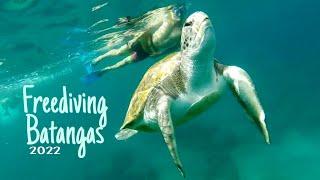 Freedive Tribe PH | Mabini Batangas 2022