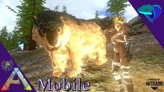 TAMING A LOT OF DIREBEARS! SETTING UP FOR MUTATIONS! ARK: Mobile [S2:E42]