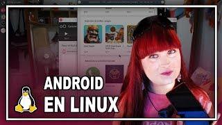  Instalar Android en Linux (emulador Genymotion) - 2019