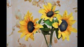 Сахарный подсолнух  (Sugar sunflower)