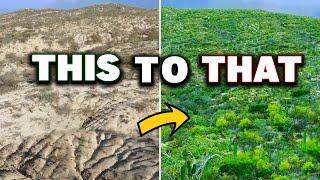 Epic Transformation Turning Desert Erosion Into Thriving Farm & Ecosystem!