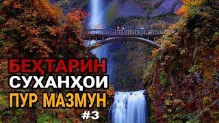 Суханҳои пур мазмун ва суханҳои тарбияви #3