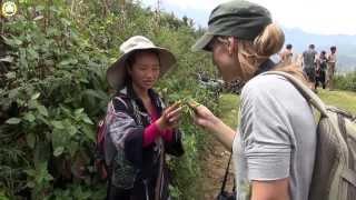 freelancelifestyle ru Vietnam 270 5 Sapa Private Trekking