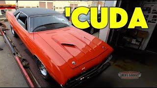 'Cuda Comes In