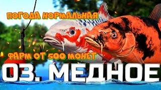 ФАРМ НА МЕДНОМ ОТ 500 МОНЕТ #русскаярыбалка4 #медное