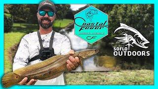 Snakehead Fishing South Florida with SoFlo Outdoors [Bullseye Snakehead Fishing] & Peacock Bass Too!