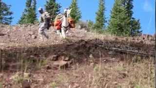 2013 Idaho LLAMA RENTALS