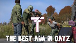 The BEST Aim in Dayz!