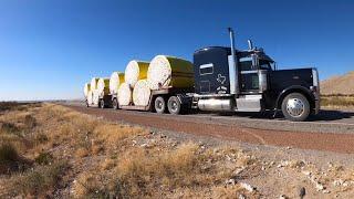 Hauling cotton bales