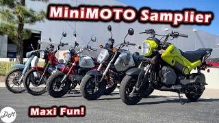 Honda MiniMOTO Buyer's Guide: Grom, Monkey, Navi, Super Cub, Trail 125 Comparison